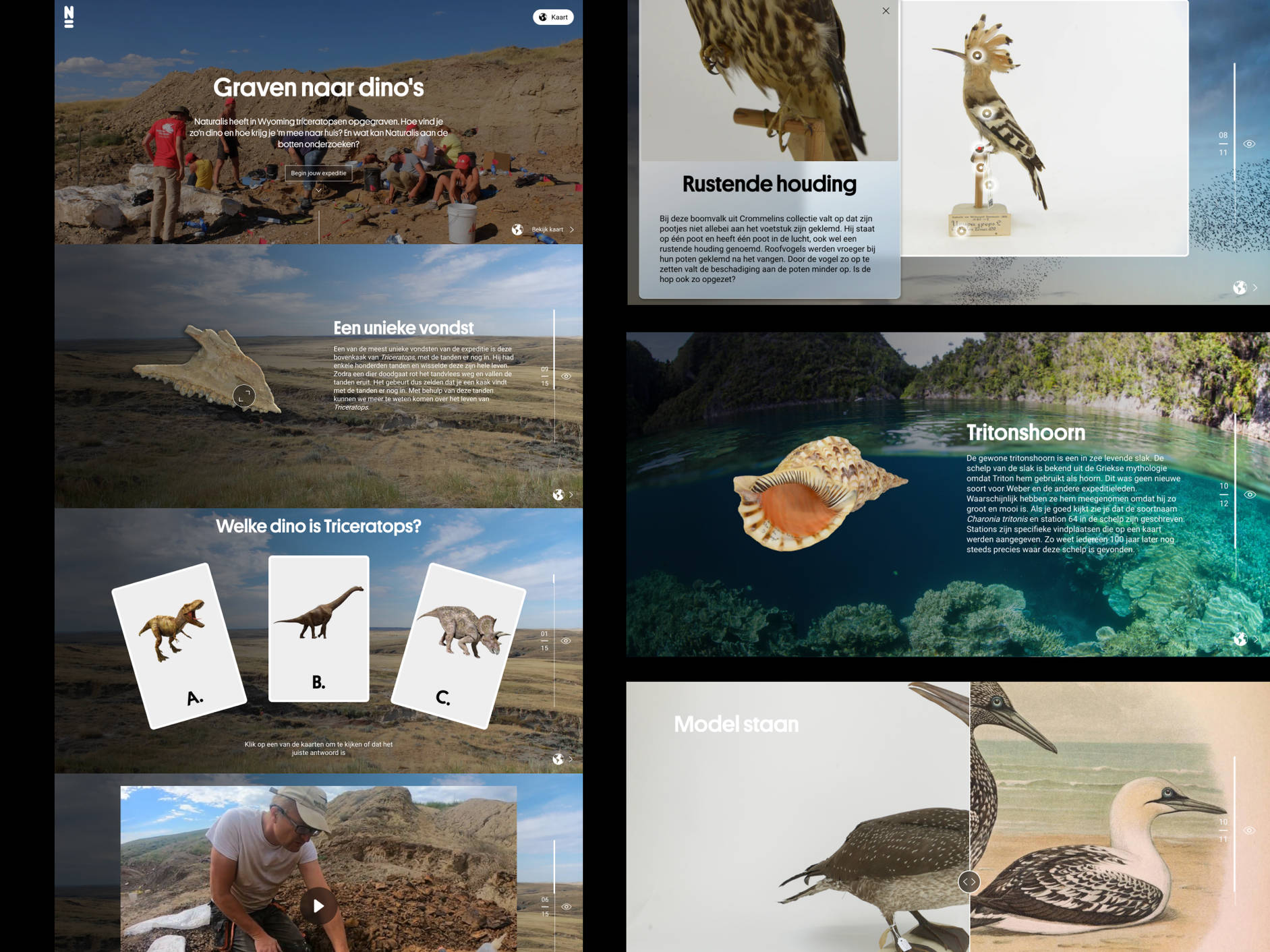 Expeditie voorbeelden Naturalis online collectie