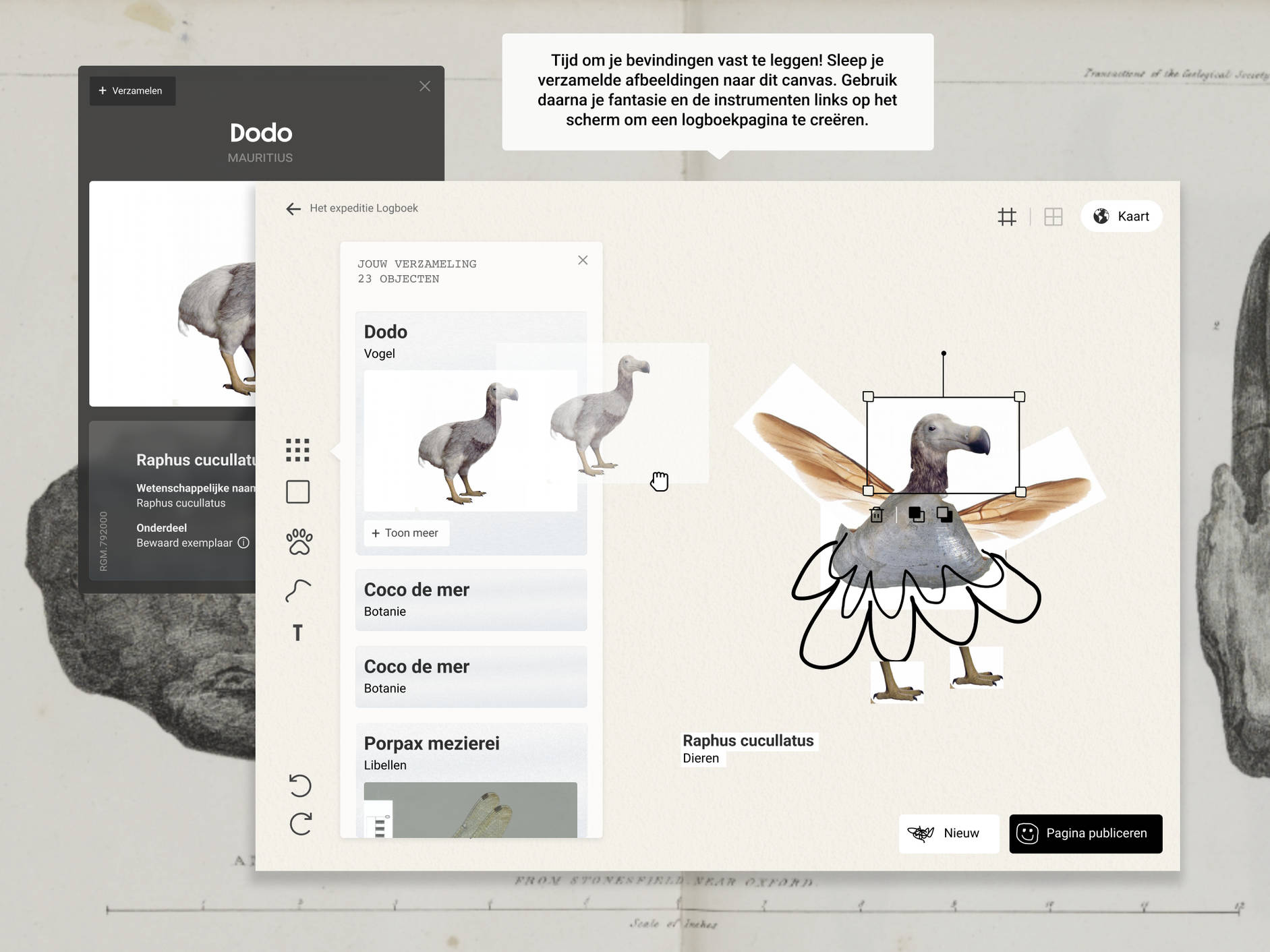 Design logboek voorbeeld expeditie online voor Naturalis door Fabrique