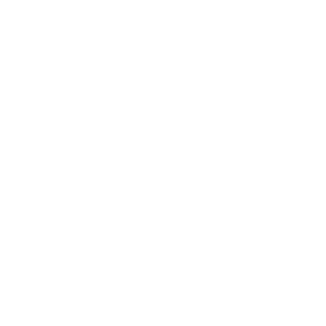 ING logo