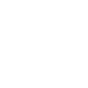 Logo Nike